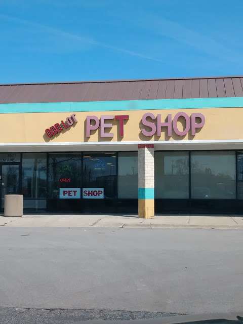 Odd Lot Pet Shop